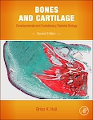Téléchargez le livre :  Bones and Cartilage