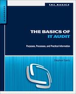 Download this eBook The Basics of IT Audit