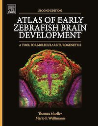 Téléchargez le livre :  Atlas of Early Zebrafish Brain Development