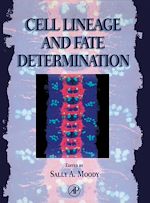 Télécharger le livre :  Cell Lineage and Fate Determination