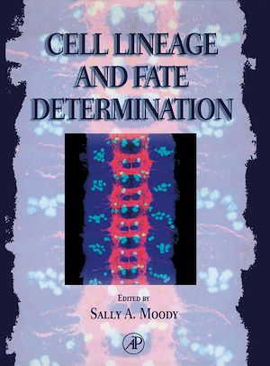 Téléchargez le livre :  Cell Lineage and Fate Determination