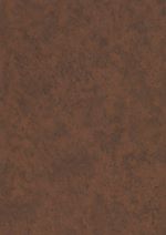 Télécharger le livre :  Natural Products Chemistry