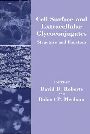 Download the eBook: Cell Surface and Extracellular Glycoconjugates