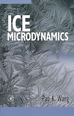 Télécharger le livre :  Ice Microdynamics