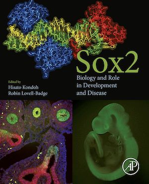 Téléchargez le livre :  Sox2