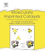 Télécharger le livre :  Molecularly Imprinted Catalysts