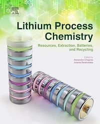 Téléchargez le livre :  Lithium Process Chemistry