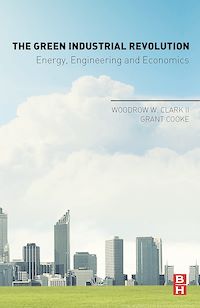 Téléchargez le livre :  The Green Industrial Revolution