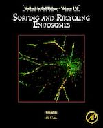 Télécharger le livre :  Sorting and Recycling Endosomes