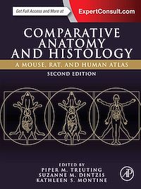 Téléchargez le livre :  Comparative Anatomy and Histology