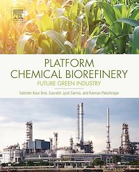 Téléchargez le livre :  Platform Chemical Biorefinery