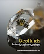 Télécharger le livre :  Geofluids