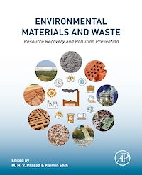 Téléchargez le livre :  Environmental Materials and Waste