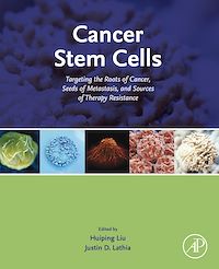Téléchargez le livre :  Cancer Stem Cells