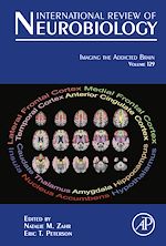 Télécharger le livre :  Imaging the Addicted Brain