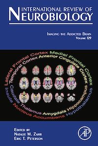 Téléchargez le livre :  Imaging the Addicted Brain