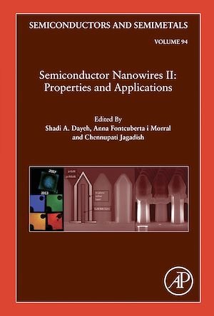 Téléchargez le livre :  Semiconductor Nanowires II: Properties and Applications