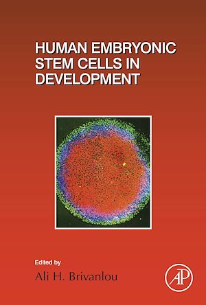 Téléchargez le livre :  Human Embryonic Stem Cells in Development