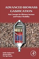 Télécharger le livre :  Advanced Biomass Gasification