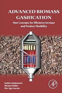 Téléchargez le livre :  Advanced Biomass Gasification