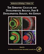 Télécharger le livre :  The Zebrafish: Cellular and Developmental Biology, Part B Developmental Biology