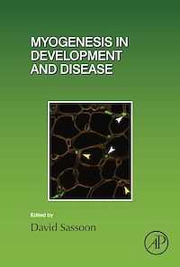 Téléchargez le livre :  Myogenesis in Development and Disease