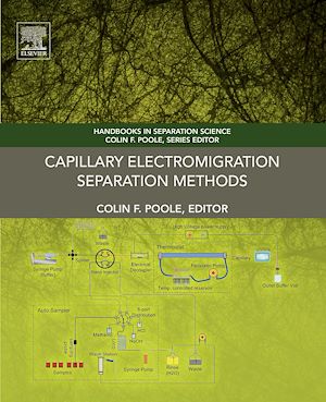 Téléchargez le livre :  Capillary Electromigration Separation Methods