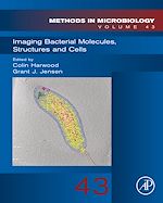 Télécharger le livre :  Imaging Bacterial Molecules, Structures and Cells