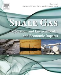 Téléchargez le livre :  Shale Gas