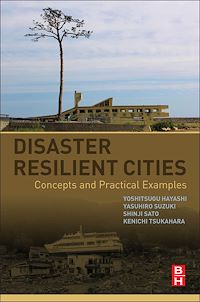 Téléchargez le livre :  Disaster Resilient Cities