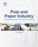 Download this eBook Pulp and Paper Industry