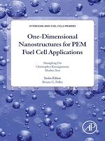 Télécharger le livre :  One-dimensional Nanostructures for PEM Fuel Cell Applications