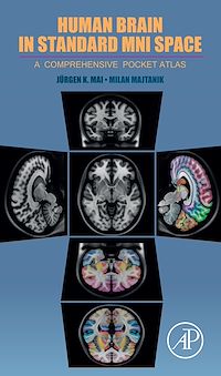 Téléchargez le livre :  Human Brain in Standard MNI Space