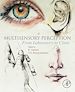 Télécharger le livre :  Multisensory Perception