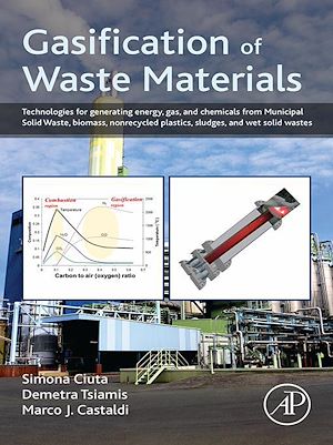 Téléchargez le livre :  Gasification of Waste Materials