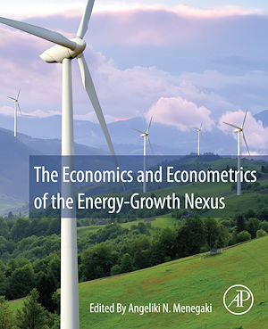 Téléchargez le livre :  The Economics and Econometrics of the Energy-Growth Nexus