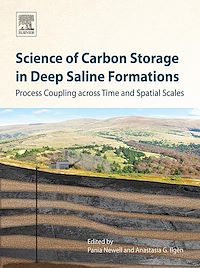 Téléchargez le livre :  Science of Carbon Storage in Deep Saline Formations