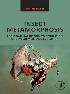 Téléchargez le livre :  Insect Metamorphosis