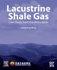 Téléchargez le livre :  Lacustrine Shale Gas