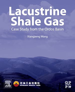 Téléchargez le livre :  Lacustrine Shale Gas