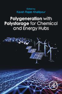 Téléchargez le livre :  Polygeneration with Polystorage