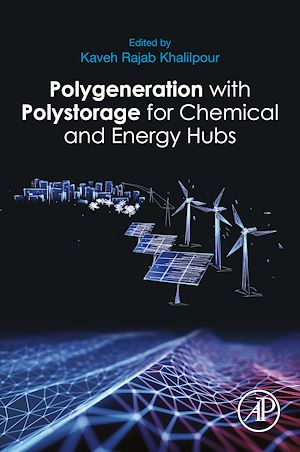 Téléchargez le livre :  Polygeneration with Polystorage