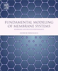 Téléchargez le livre :  Fundamental Modeling of Membrane Systems