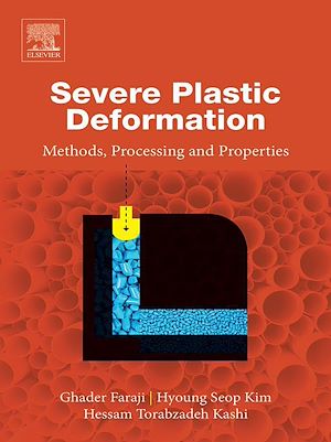 Téléchargez le livre :  Severe Plastic Deformation