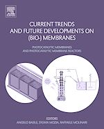 Télécharger le livre :  Current Trends and Future Developments on (Bio-) Membranes