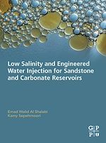 Télécharger le livre :  Low Salinity and Engineered Water Injection for Sandstone and Carbonate Reservoirs