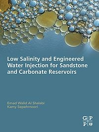 Téléchargez le livre :  Low Salinity and Engineered Water Injection for Sandstone and Carbonate Reservoirs