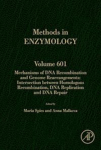 Téléchargez le livre :  Mechanisms of DNA Recombination and Genome Rearrangements: Intersection Between Homologous Recombination, DNA Replication and DNA Repair