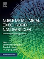 Télécharger le livre :  Noble Metal-Metal Oxide Hybrid Nanoparticles