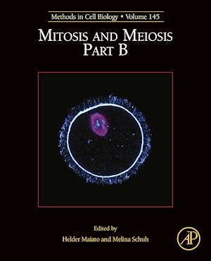 Téléchargez le livre :  Mitosis and Meiosis Part B